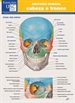 Front pageAnatomía humana