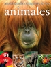 Front pageEnciclopedia completa de los animales