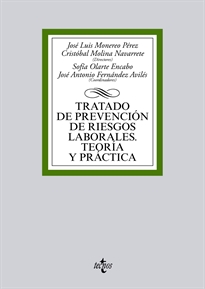 Books Frontpage Tratado de prevención de riesgos laborales. Teoría y práctica