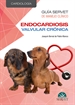 Front pageGuía Servet de manejo clínico: Cardiología. Endocardiosis valvular crónica