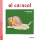 Front pageEl caracol