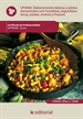 Front pageElaboraciones básicas y platos elementales con hortalizas, legumbres secas, pastas, arroces y huevos. hotr0408 - cocina