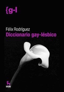 Books Frontpage Diccionario gay-lesbico