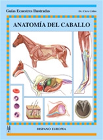 Books Frontpage Anatomía del caballo