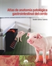Front pageAtlas de anatomía patológica gastrointestinal del cerdo