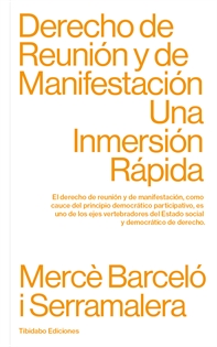 Books Frontpage Derecho de Reunión y de Manifestación