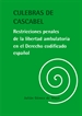 Front pageCulebras de cascabel. Restricciones penales de la libertad ambulatoria en el Derecho codificado español