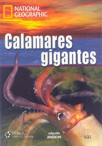 Books Frontpage Calamares gigantes