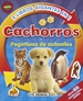 Front pageCachorros - Pegatinas de animales