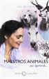Front pageMaestros Animales