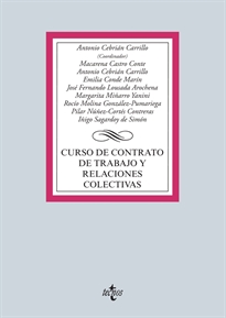 Books Frontpage Curso de contrato de trabajo y relaciones colectivas