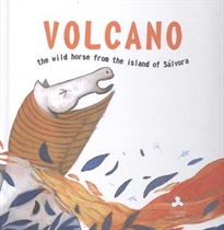 Books Frontpage Volcán, the wild horse from the island of Sálvora
