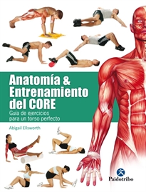 Books Frontpage Anatomía & entrenamiento del CORE (color)