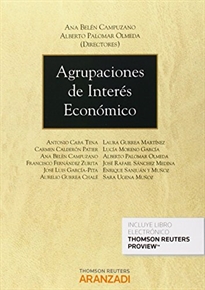Books Frontpage Agrupaciones de Interés Económico (Papel + e-book)
