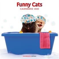 Books Frontpage Calendario Funny Cats 2020