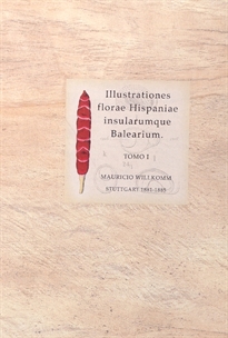 Books Frontpage Illustrationes florae Hispaniae insularumque Balearium. Figuras de plantas nuevas ó raras descritas en el Prodromus Florae Hispanicae ó recientemente descubiertas en España y en las Islas Baleares, acompañadas de observaciones críticas e históricas. Tomo I