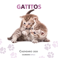 Books Frontpage Calendario Gatitos 2020