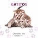 Front pageCalendario Gatitos 2020