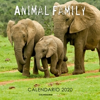 Books Frontpage Calendario Animal Family 2020