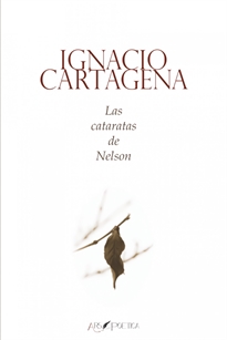 Books Frontpage Las cataratas de Nelson