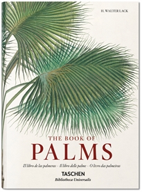 Books Frontpage Martius. The Book of Palms