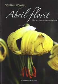 Books Frontpage Abril florit