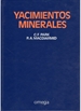 Front pageYacimientos Minerales