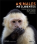 Front pageAnimales inteligentes
