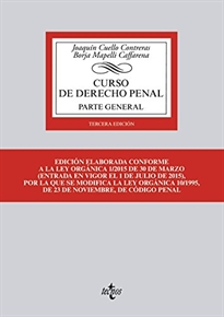 Books Frontpage Curso de Derecho penal