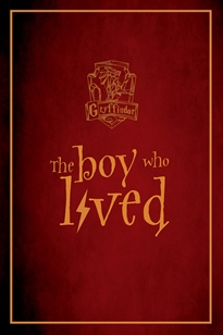 Books Frontpage Harry Potter - Gryffindor (Notebook)