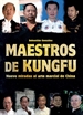 Front pageMaestros de Kungfu