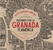 Front pagePaseando por la Granada flamenca