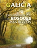 Front pageExcursiones por los bosques mas bellos