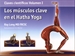 Front pageLos músculos clave en el hatha yoga