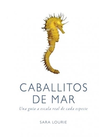 Books Frontpage Caballitos De Mar