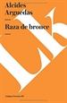 Front pageRaza de bronce