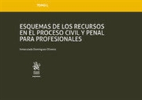 Books Frontpage TOMO L Esquemas de los recursos en el proceso civil y penal para profesionales