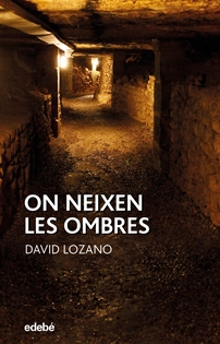 Books Frontpage On Neixen Les Ombres