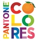 Front pagePantone colores