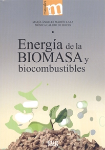 Books Frontpage Energía de la biomasa y biocombustibles