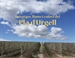 Front pagePaisatges, llums i colors del Pla d'Urgell
