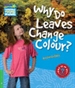 Front pageWhy Do Leaves Change Colour? Level 3 Factbook