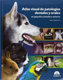 Books Frontpage Atlas visual de patologías dentales y orales en pequeños animales y exóticos