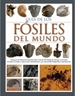 Front pageGuia De Los Fosiles Del Mundo