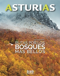 Books Frontpage Rutas por los bosques más bellos