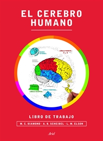 Books Frontpage El cerebro humano. Libro de trabajo