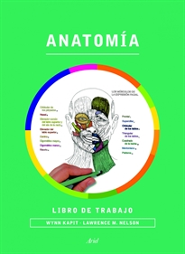 Books Frontpage Anatomía. Libro de trabajo