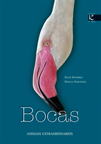 Books Frontpage Bocas. Animais extraordinarios