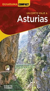 Books Frontpage Asturias