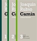 Front pageCatálogo razonado de la obra artística de Joaquín Rubio Camín
